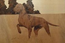Magyar vizsla intarzia