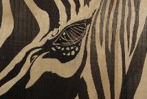 Zebra szem intarzia